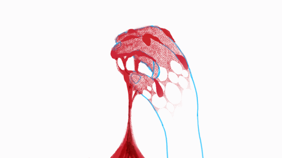Ang Pao — Roughs (Liquid)